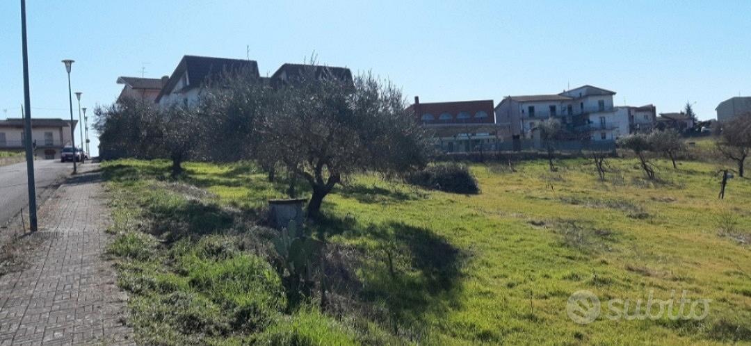 Terreno 5000 mq - Vista 5