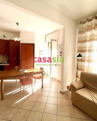 Appartamento abitabile con sottotetto e terrazza