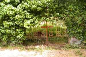 Terreno a San Leonardo