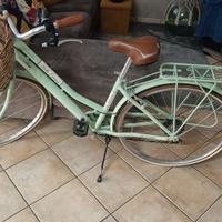 Bicicletta tecnobike