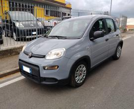 Fiat Panda 1.0 FireFly S&S Hybrid Incidentata/Sini