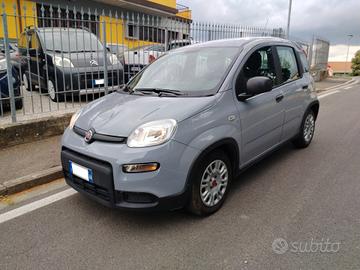 Fiat Panda 1.0 FireFly S&S Hybrid Incidentata/Sini