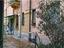Immagine 16