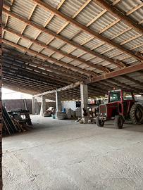 Cascinale e capannone