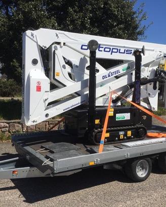 Carrello Rimorchio con Rampe Pronta Consegna