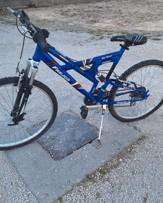 Biciclette