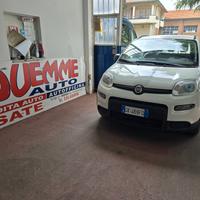 Fiat Panda 1.0 FireFly S&S Hybrid City Life rate d