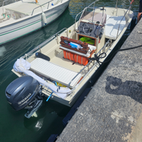 Boston Whaler Montauk 17