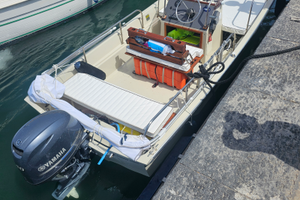 Boston Whaler Montauk 17