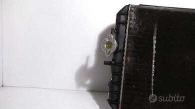 Ricambio radiatore PIAGGIO PORTER 1996-2008 164008