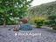 Immagine 29