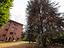 Immagine 26