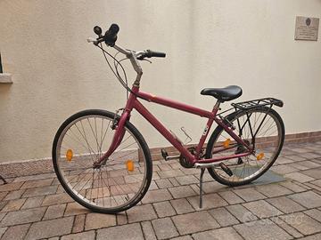 Bicicletta da uomo. 