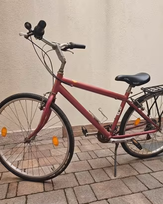 Bicicletta da uomo. 