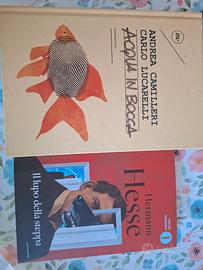 Libri nuovi Camilleri e Hesse