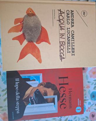 Libri nuovi Camilleri e Hesse
