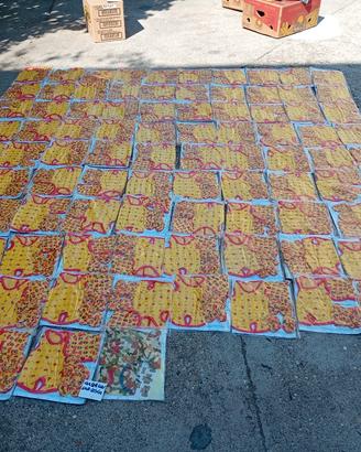 lotto impermeabili per cani o peluches 