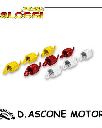 Serie molle frizione RACING per maxi scooter