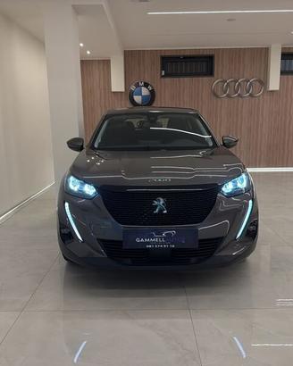 Peugeot 2008 1.2 puretech Active Pack s&s 130cv
