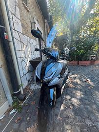 LEM V11 125 Cc