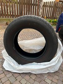 Gomme estive