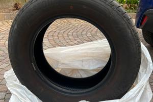 Gomme estive