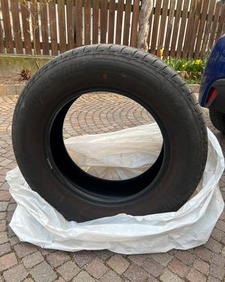 Gomme estive