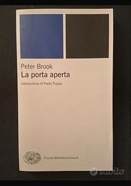 La porta aperta- Peter Brook
