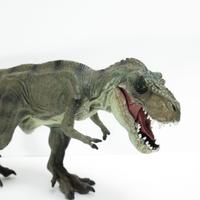 Modello Dinosauro Giocattolo PVC T. Rex