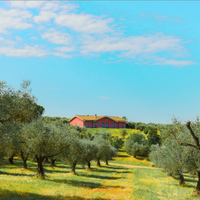 Villa / Tenuta panoramica