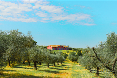 Villa / Tenuta panoramica