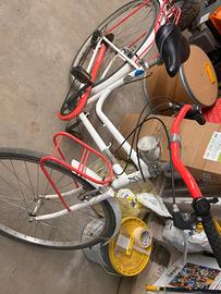 Bicicletta da donna montana