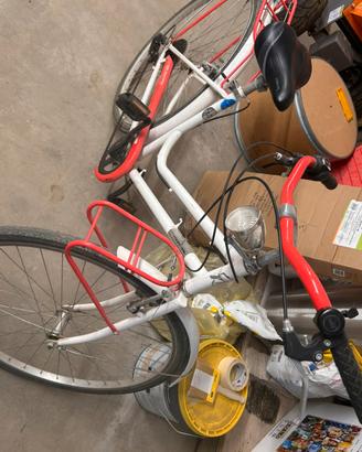 Bicicletta da donna montana