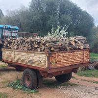 Legna da Ardere Olivastro