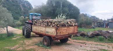 Legna da Ardere Olivastro