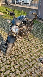 Suzuki SV 650 - 2023