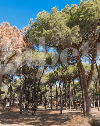 S.Margherita "La Pineta" Trivano 100 mt dal mare