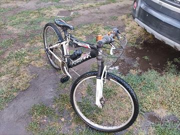 Mountain bike