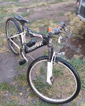 Mountain bike