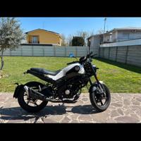 Benelli Leoncino 125
