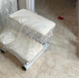 Scaletta professionale a 2 gradini