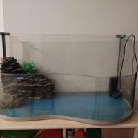 Acquario per tartarughe