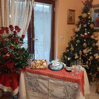 albero di natale "nuovo" completo di luci e addob