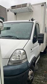 Furgone frigo cassonato