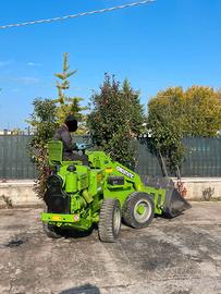 P98 Mini pala 25 q.li snodata