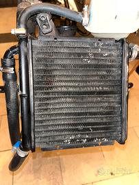 Radiatore ,pompa acqua ,vaschetta ,tubi