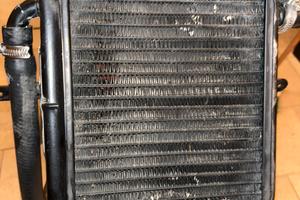 Radiatore ,pompa acqua ,vaschetta ,tubi