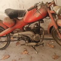 Motom 48