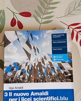 il nuovo Amaldi per i licei scientifici.blu .