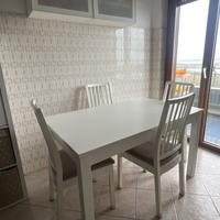 Tavolo allungabile e 4 sedie 150€